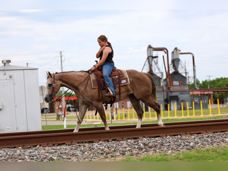 American Quarter Horse Mare 6 years Sorrel in Forney