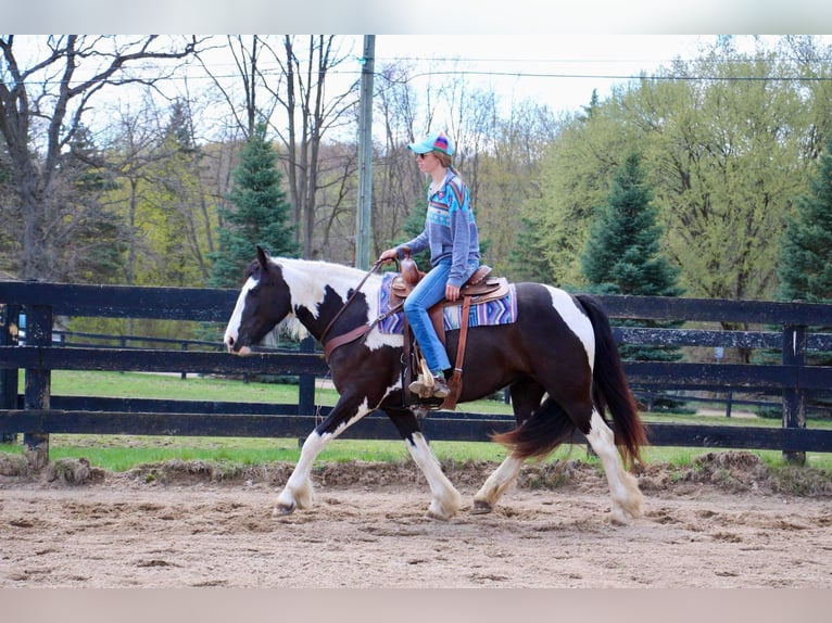 American Quarter Horse Mare 6 years Tobiano-all-colors in Howell MI