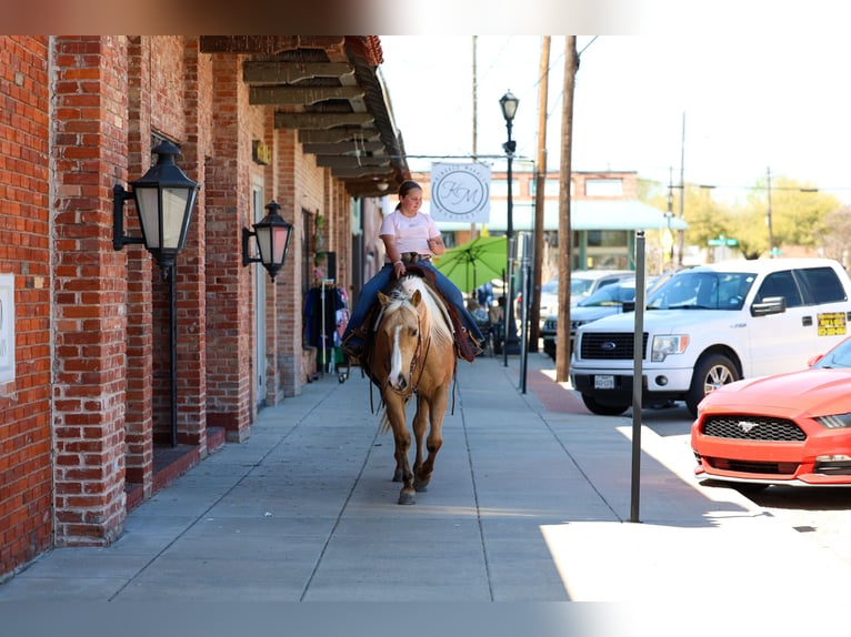 American Quarter Horse Mare 7 years 15.1 hh Palomino in Terrell