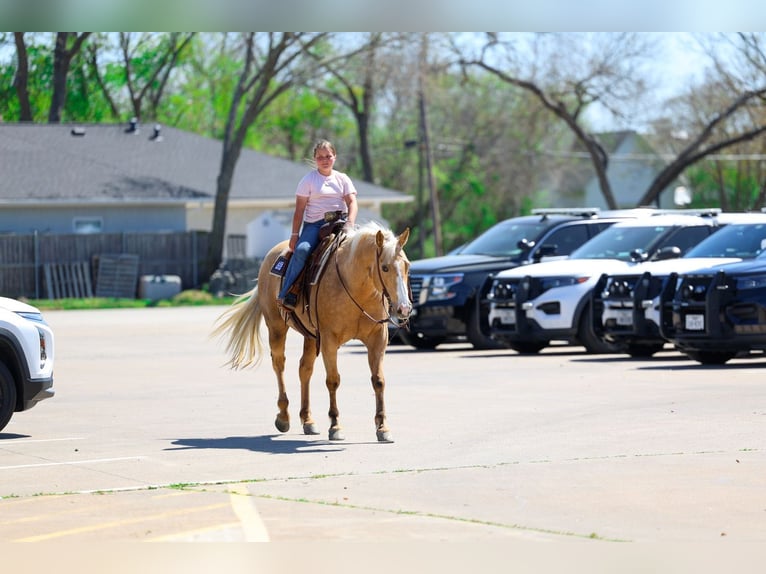 American Quarter Horse Mare 7 years 15,1 hh Palomino in Terrell