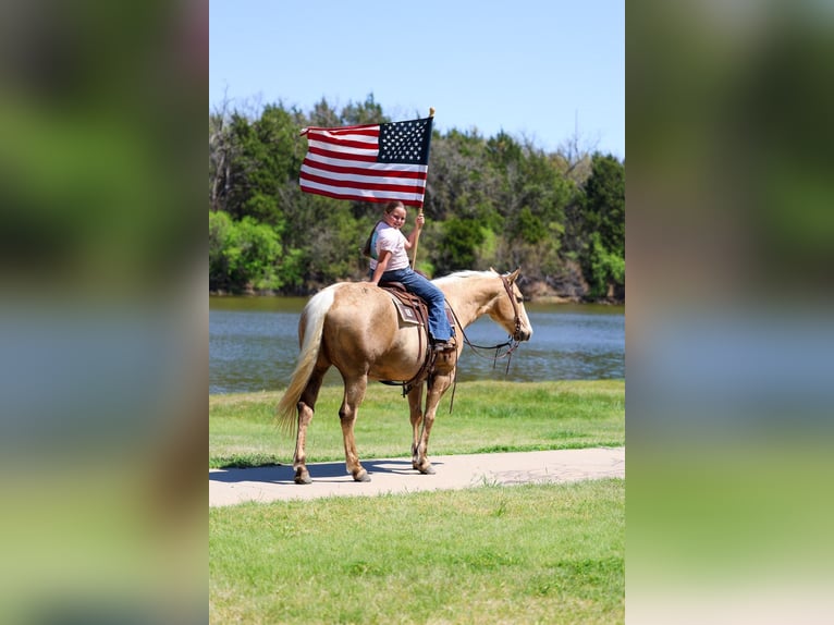American Quarter Horse Mare 7 years 15,1 hh Palomino in Terrell