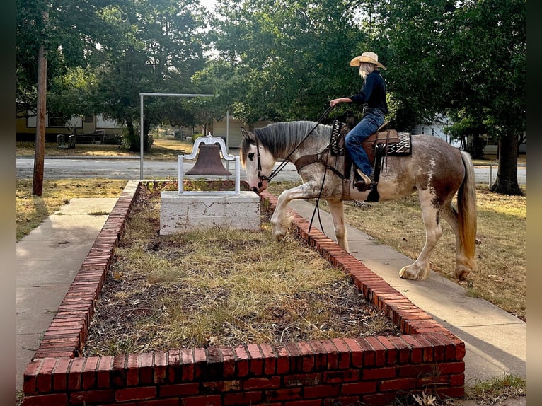 American Quarter Horse Mare 7 years 16 hh Roan-Blue in Byers, TX