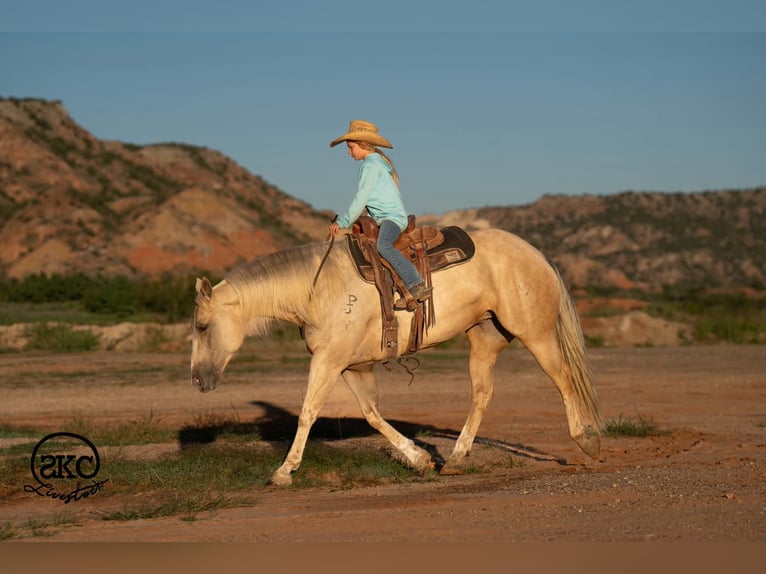 American Quarter Horse Mare 7 years Palomino in Canyon
