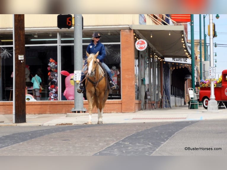 American Quarter Horse Mare 8 years Palomino in Weatherford TX