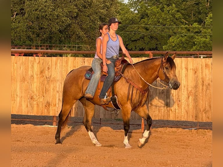 American Quarter Horse Mare 9 years 15 hh Buckskin in Weatherford