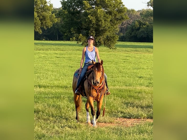 American Quarter Horse Mare 9 years 15 hh Buckskin in Weatherford