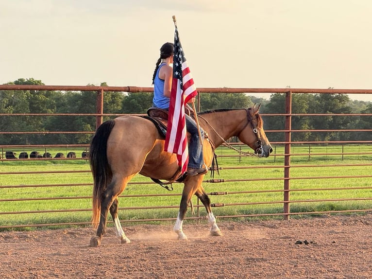 American Quarter Horse Mare 9 years 15 hh Buckskin in Weatherford