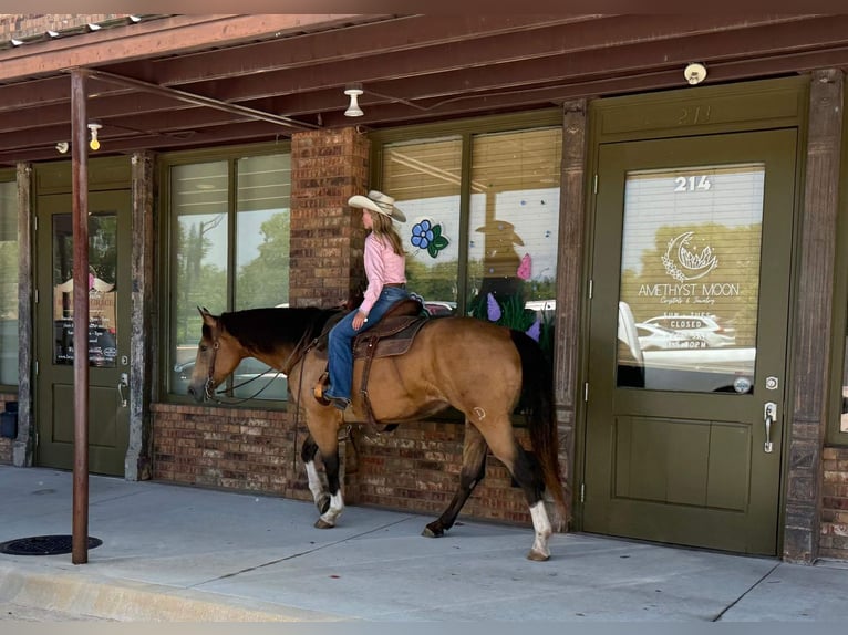 American Quarter Horse Mare 9 years 15 hh Buckskin in Weatherford