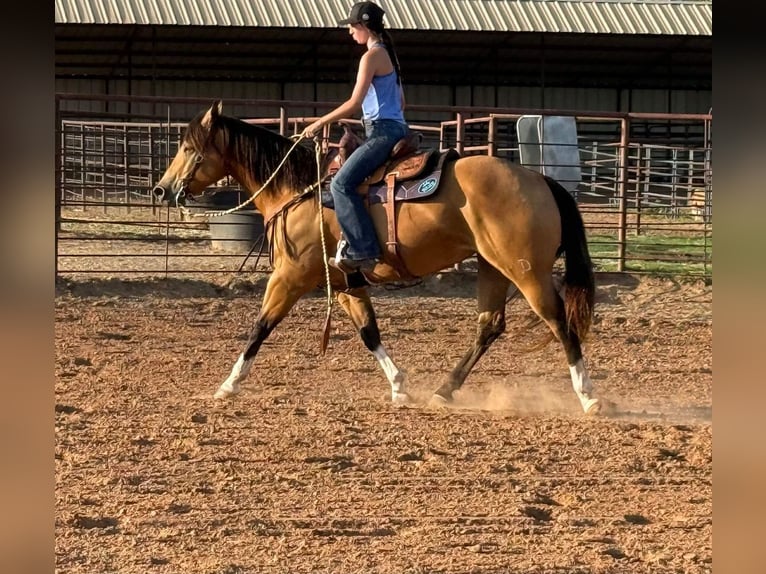 American Quarter Horse Mare 9 years 15 hh Buckskin in Weatherford