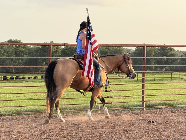 American Quarter Horse Mare 9 years 15 hh Buckskin in Weatherford