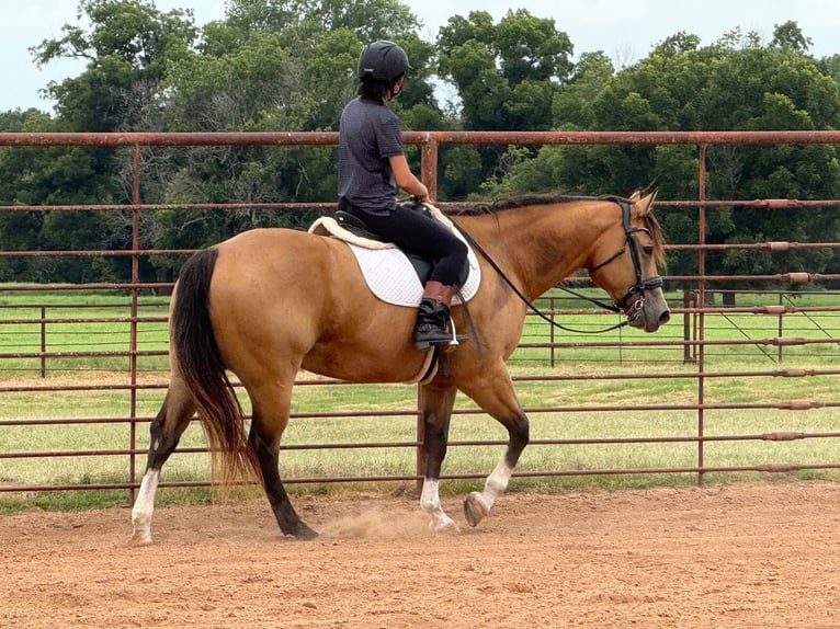 American Quarter Horse Mare 9 years 15 hh Buckskin in Weatherford
