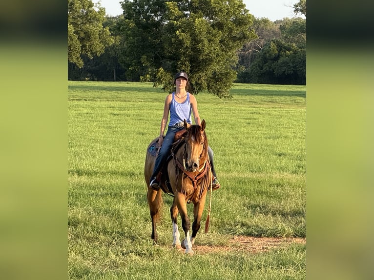 American Quarter Horse Mare 9 years 15 hh Buckskin in Weatherford