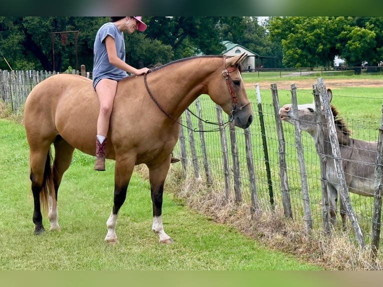 American Quarter Horse Mare 9 years 15 hh Buckskin in Weatherford