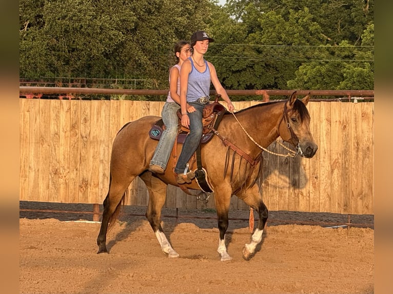 American Quarter Horse Mare 9 years 15 hh Buckskin in Weatherford