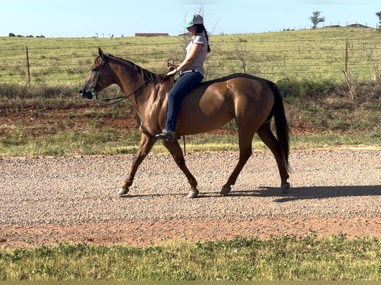 American Quarter Horse Merrie 10 Jaar 150 cm Donkere-vos in Elk City OK