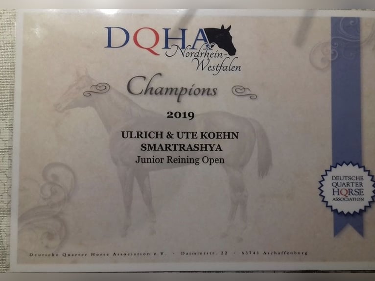 American Quarter Horse Merrie 11 Jaar 150 cm  in Ruzsa