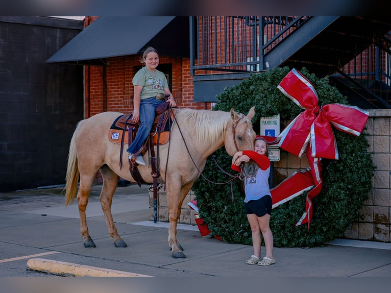 American Quarter Horse Merrie 11 Jaar 157 cm Palomino in Forney
