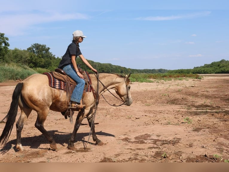 American Quarter Horse Merrie 11 Jaar  in Ripley