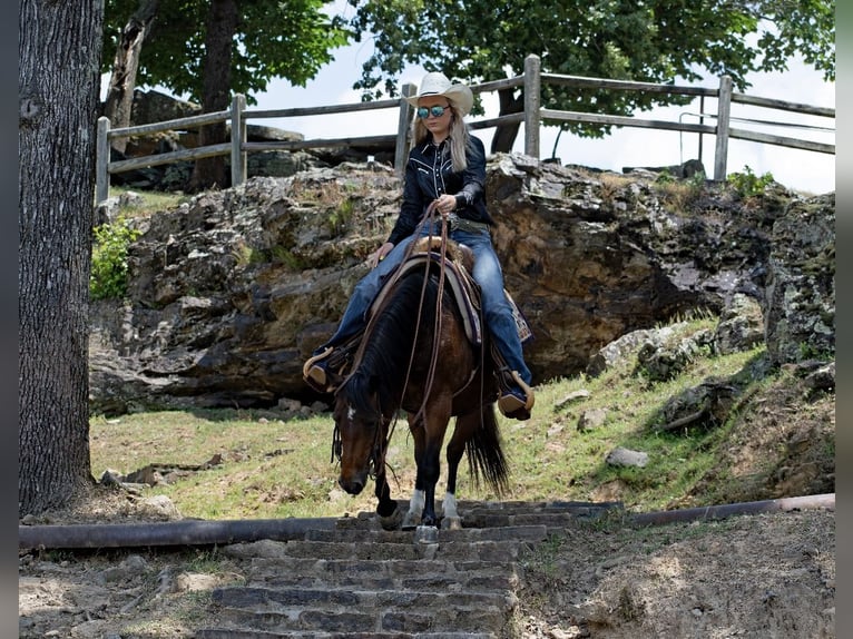 American Quarter Horse Merrie 12 Jaar 124 cm Roodbruin in Quitman AR