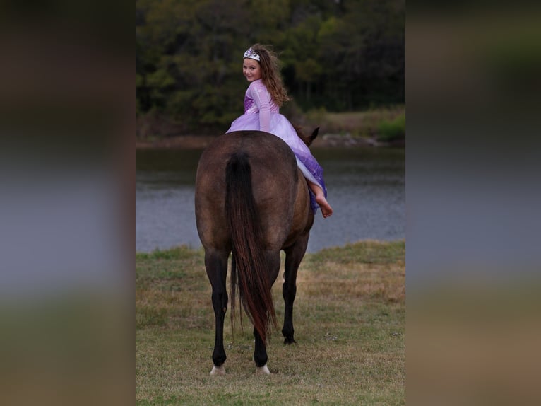 American Quarter Horse Merrie 12 Jaar 152 cm Buckskin in Forney