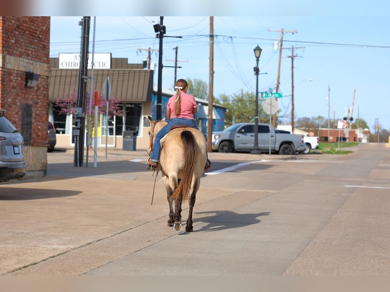 American Quarter Horse Merrie 12 Jaar Buckskin in Forney