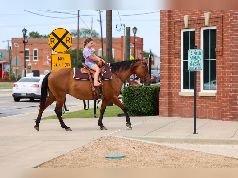 American Quarter Horse Merrie 12 Jaar Falbe in Forney