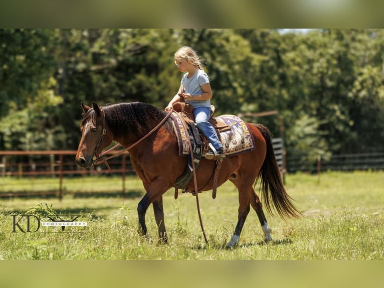 American Quarter Horse Merrie 13 Jaar 124 cm Roodbruin in Quitman AR