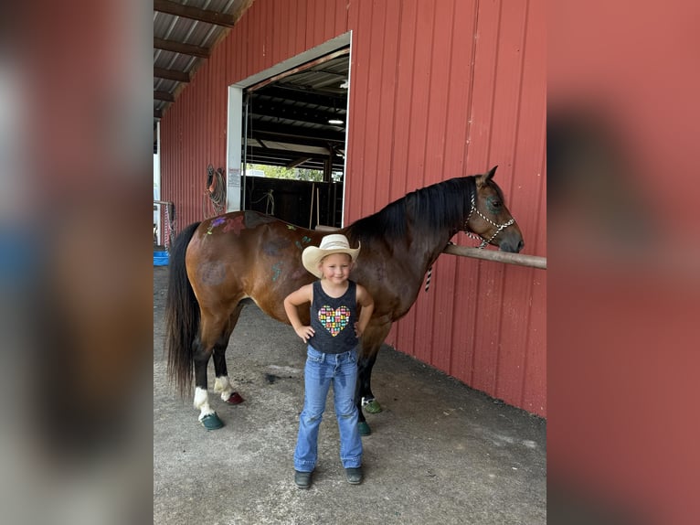 American Quarter Horse Merrie 13 Jaar 124 cm Roodbruin in Quitman AR