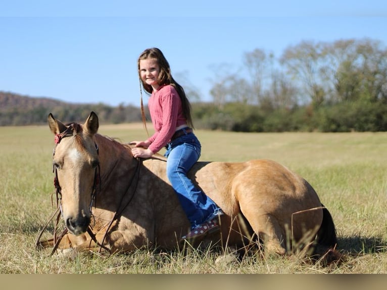 American Quarter Horse Merrie 13 Jaar 142 cm Buckskin in Mt Hope AL