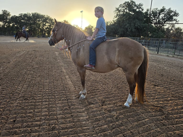 American Quarter Horse Mix Merrie 13 Jaar Roodvos in Weatherford