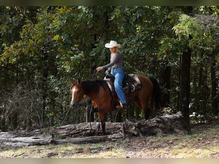 American Quarter Horse Merrie 14 Jaar 147 cm Buckskin in Quitman