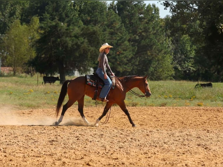 American Quarter Horse Merrie 14 Jaar 147 cm Buckskin in Quitman