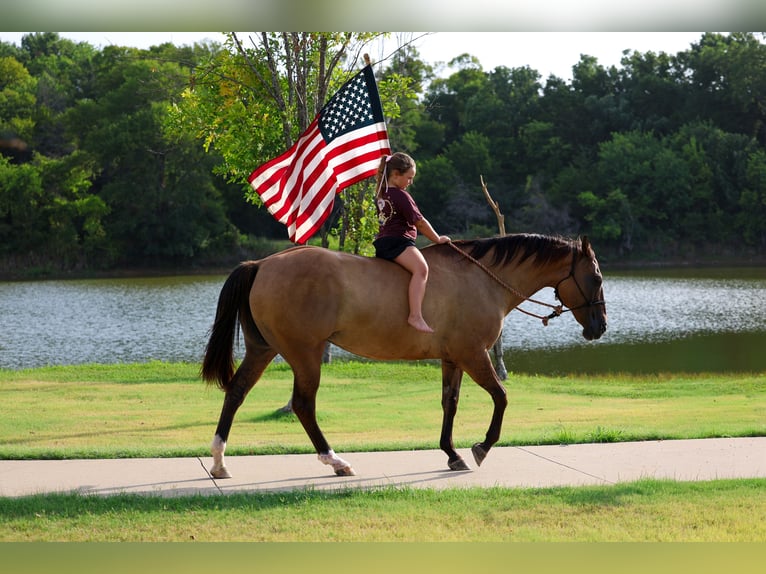American Quarter Horse Merrie 15 Jaar Falbe in Terrell