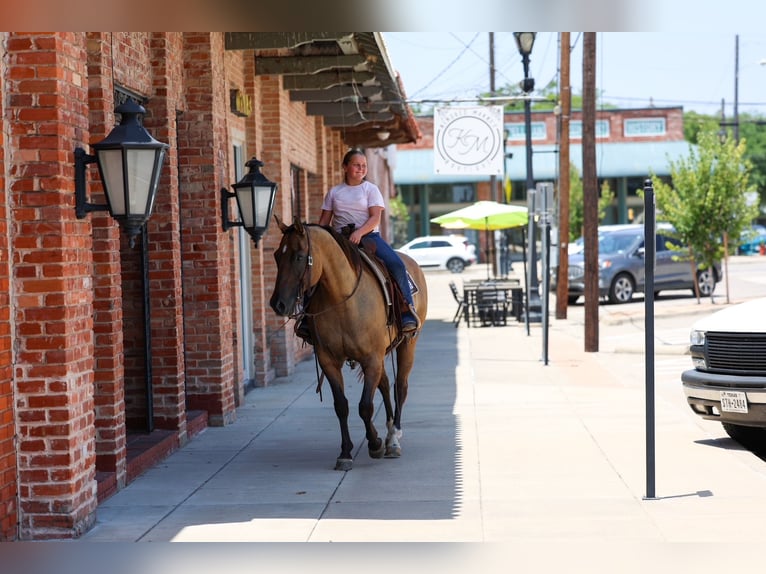 American Quarter Horse Merrie 15 Jaar Falbe in Terrell