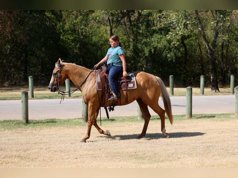 American Quarter Horse Merrie 16 Jaar Palomino in Terrell