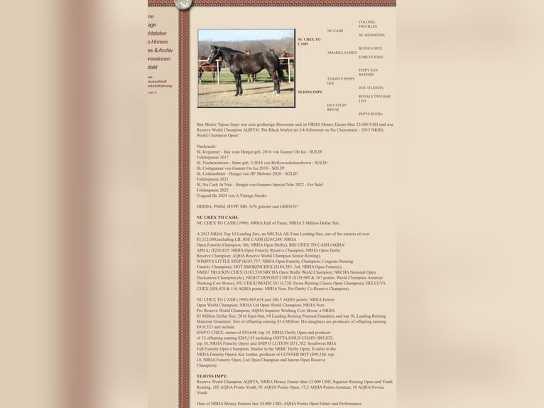 American Quarter Horse Merrie 17 Jaar 150 cm Zwart in Deggenhausertal