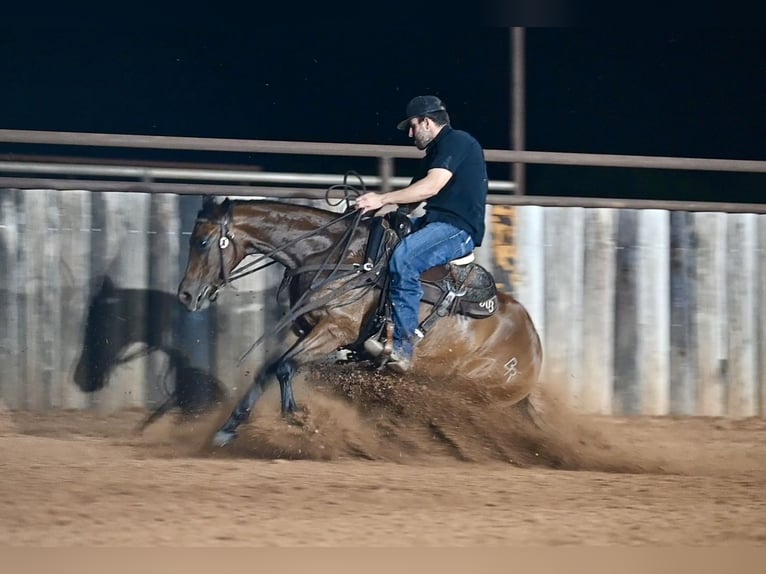 American Quarter Horse Merrie 3 Jaar 142 cm Roodbruin in Waco