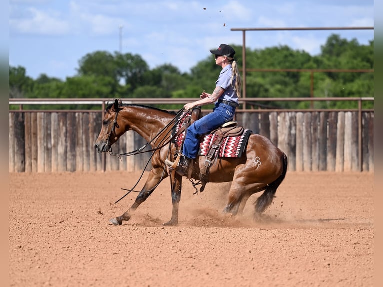 American Quarter Horse Merrie 3 Jaar 142 cm Roodbruin in Waco