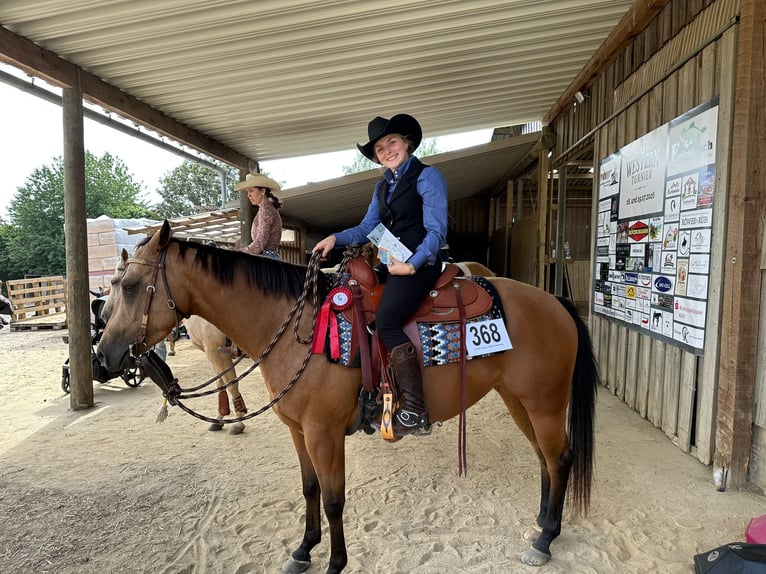 American Quarter Horse Merrie 4 Jaar 152 cm Buckskin in WipperfürthWipperfürth