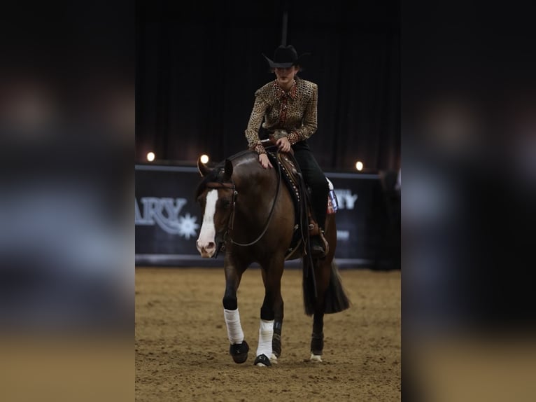 American Quarter Horse Merrie 4 Jaar 152 cm Roodbruin in Whitesboro