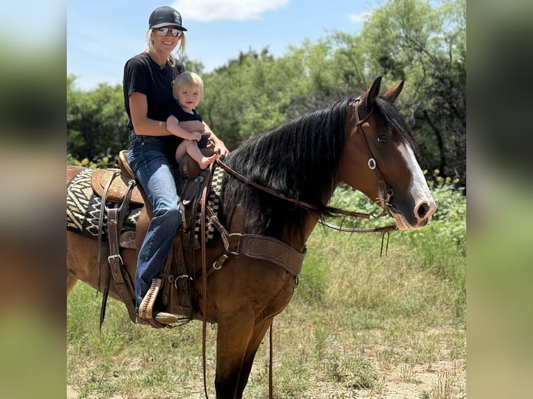 American Quarter Horse Merrie 4 Jaar 152 cm Roodbruin in Jacksboro TX
