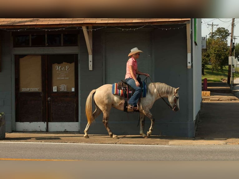 American Quarter Horse Merrie 5 Jaar 142 cm Schimmel in Quitman