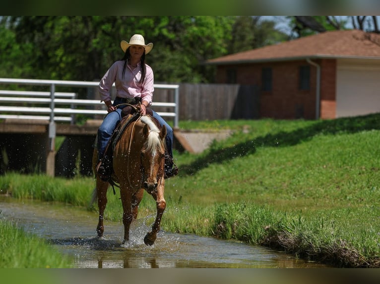 American Quarter Horse Merrie 5 Jaar 150 cm in Joshua, TX