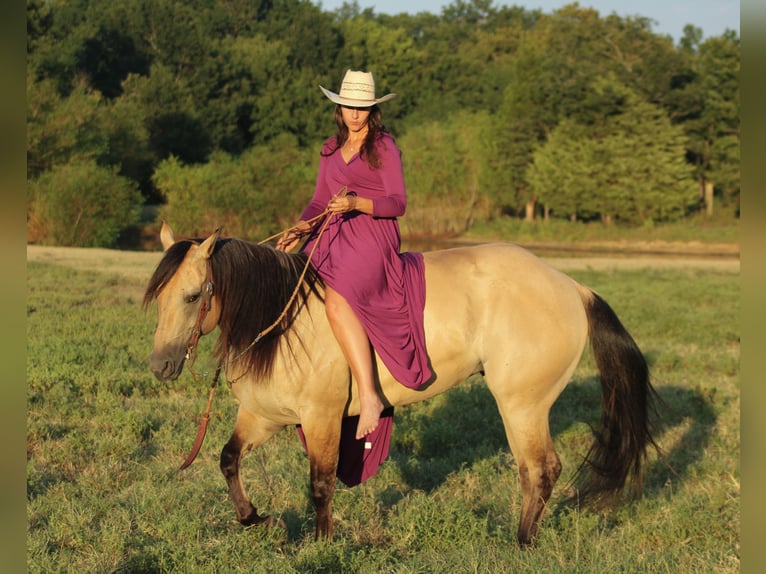 American Quarter Horse Merrie 5 Jaar 152 cm Buckskin in Baxter Springs