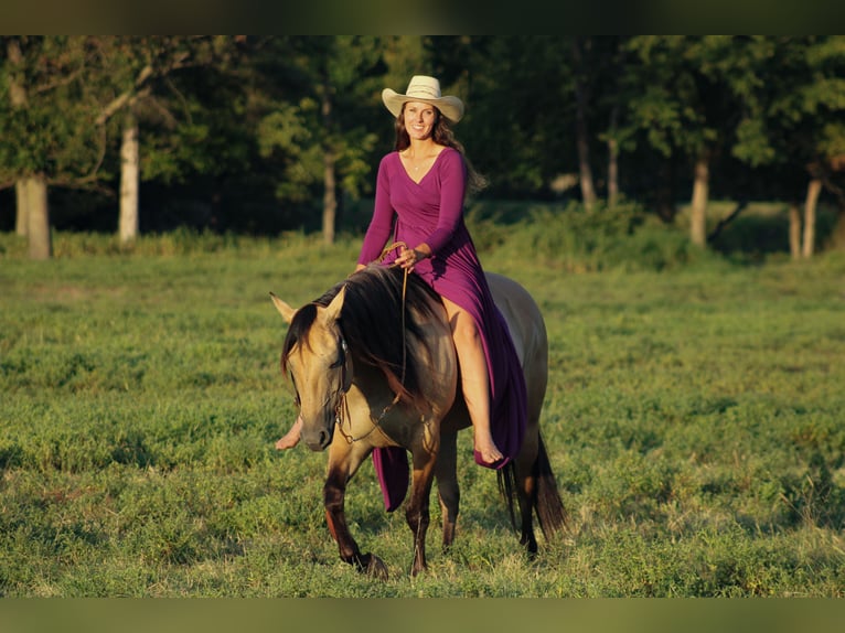 American Quarter Horse Merrie 5 Jaar 152 cm Buckskin in Baxter Springs