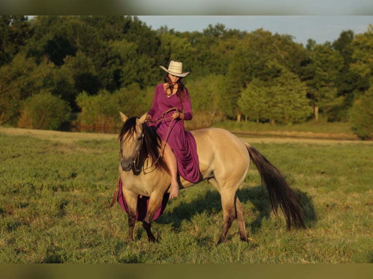 American Quarter Horse Merrie 5 Jaar 152 cm Buckskin in Baxter Springs