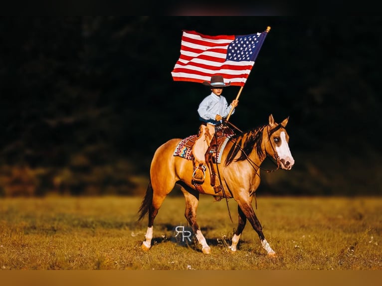 American Quarter Horse Merrie 5 Jaar 152 cm Falbe in Lyles, TN