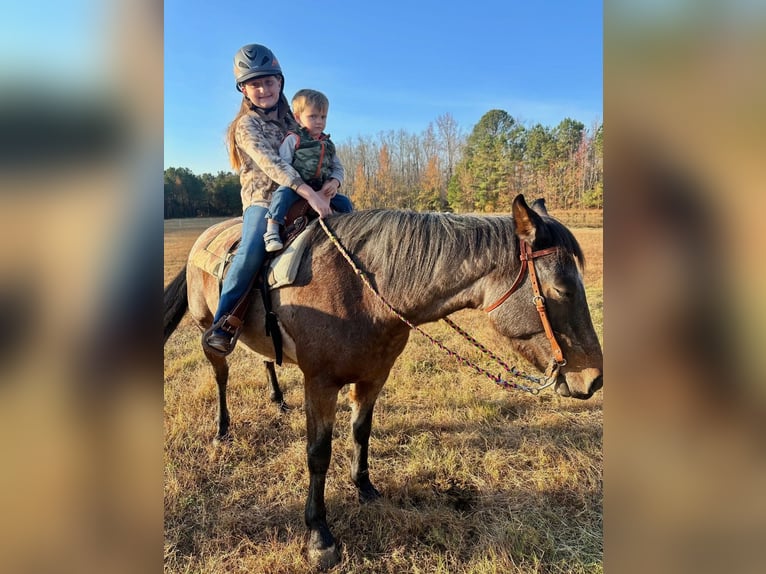 American Quarter Horse Merrie 5 Jaar Roan-Bay in Four Oaks