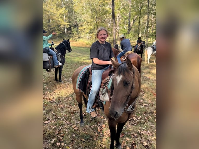 American Quarter Horse Merrie 6 Jaar 150 cm Falbe in Santa Fe