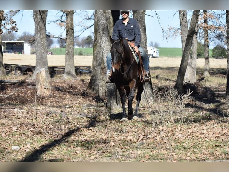 American Quarter Horse Merrie 6 Jaar 152 cm Roodbruin in Sulphur Springs